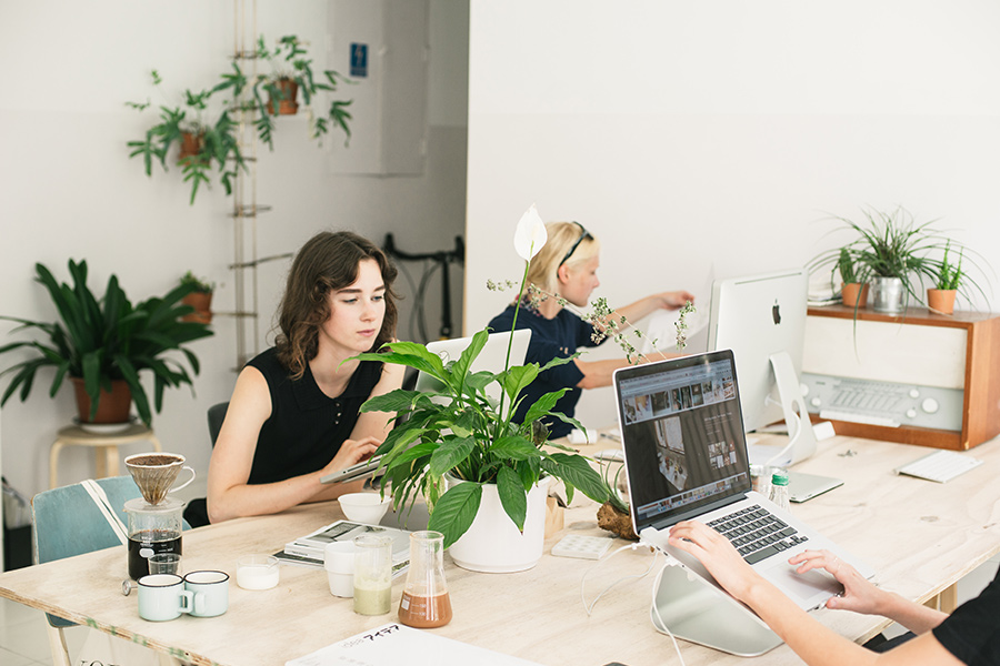 Formulación y Ejecución del Plan de Marketing y Publicidad